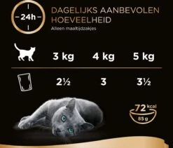 Sheba Mini Filets In Saus Kattenvoer Maaltijdzakjes Gevogelte 40 X 85 G 14 Sheba Mini Filets In Saus Kattenvoer Maaltijdzakjes Gevogelte 40 X 85 G -Kattenbenodigdheden 1200x1027
