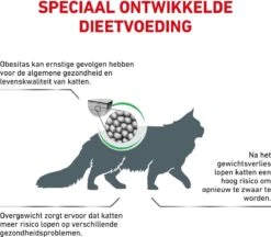 Royal Canin Satiety Weight Management - Kattenvoer - 3,5 Kg 16 Royal Canin Satiety Weight Management - Kattenvoer - 3,5 Kg -Kattenbenodigdheden 1200x1050