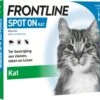 Frontline Spot-On Anti Vlooienmiddel Kat - 6 Pipetten -Kattenbenodigdheden 1200x1057 1