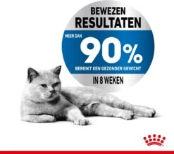 Royal Canin Light Weight Care - 3 Kg -Kattenbenodigdheden 1200x1064 1