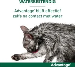 Bayer Advantage 40 Tegen Vlooien - <4kg - 4 X 0,4 Ml - Adult 37 Bayer Advantage 40 Tegen Vlooien - <4kg - 4 X 0,4 Ml - Adult -Kattenbenodigdheden 1200x1069
