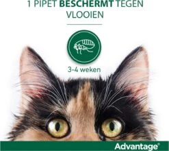 Bayer Advantage 40 Tegen Vlooien - <4kg - 4 X 0,4 Ml - Adult 33 Bayer Advantage 40 Tegen Vlooien - <4kg - 4 X 0,4 Ml - Adult -Kattenbenodigdheden 1200x1070 1