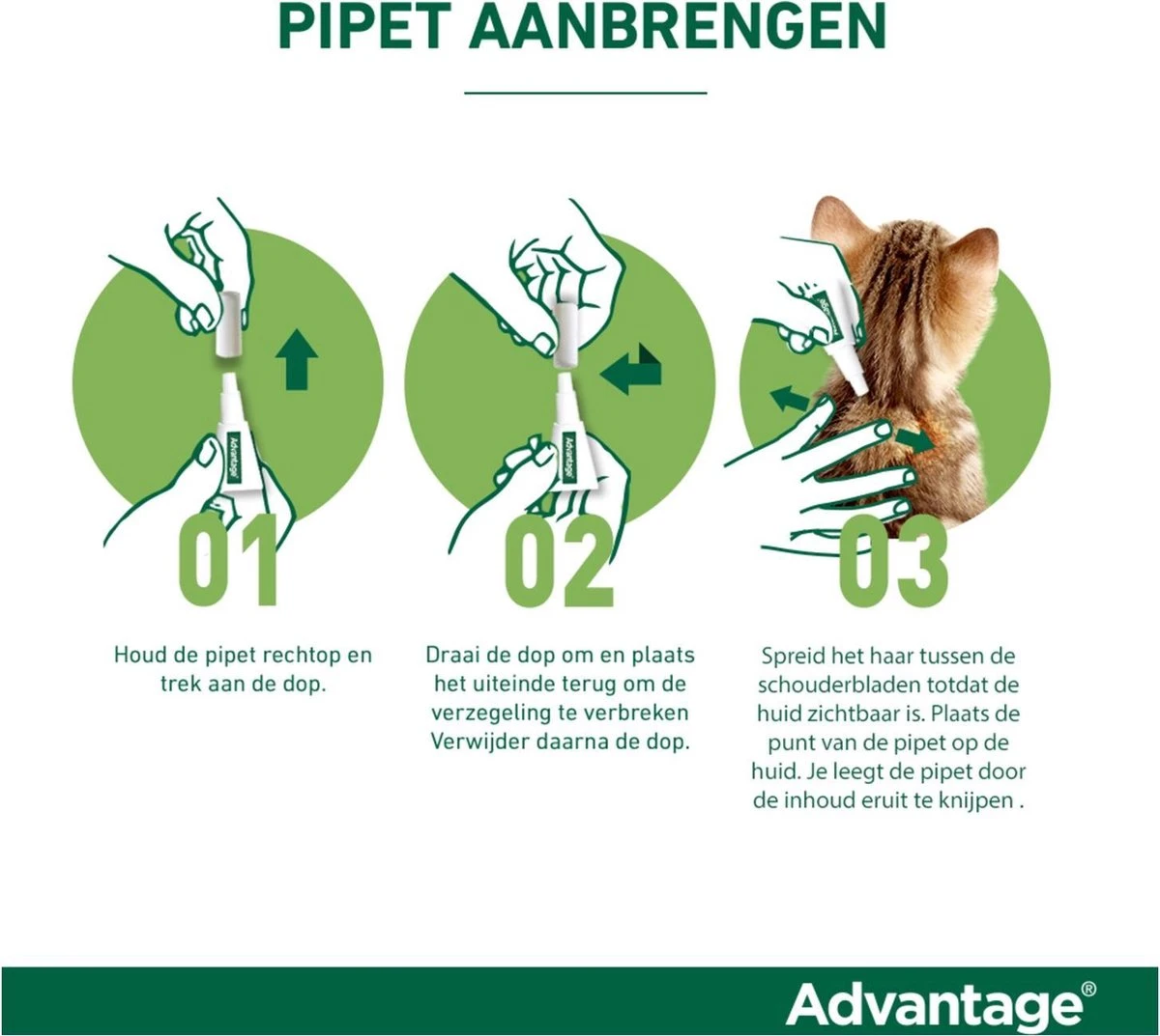 Bayer Advantage 40 Tegen Vlooien - <4kg - 4 X 0,4 Ml - Adult 12 Bayer Advantage 40 Tegen Vlooien - <4kg - 4 X 0,4 Ml - Adult - Afbeelding 10