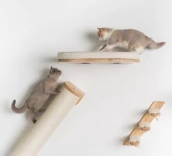 RHRQuality Wandmeubel Wandmontage Klimmuur Kat 53 X 43cm Luxe Kattenbed Creme Wand Muur Krabpaal Katten Muurbevestiging -Kattenbenodigdheden 1200x1090 4