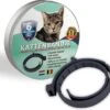 Natuurlijke Vlooienband - Katten - Zwart - Zonder Pesticiden Of Gif - Vlooien En Teken - Kattenbandje - Eco Friendly 2 Natuurlijke Vlooienband - Katten - Zwart - Zonder Pesticiden Of Gif - Vlooien En Teken - Kattenbandje - Eco Friendly -Kattenbenodigdheden 1200x1096 1