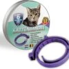 Natuurlijke Vlooienband - Katten - Paars - Zonder Giftige Pesticiden - 100% Natuurlijk - Vlooien En Teken - Milieuvriendelijk - Geur Halsband -Kattenbenodigdheden 1200x1096