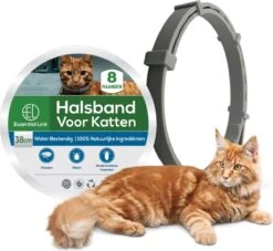Essential Link Teken- En Vlooienband - Vlooienband Kat – Anti Vlooien – Vlooienmiddel - Tekenband - Diervriendelijk -Kattenbenodigdheden 1200x1102