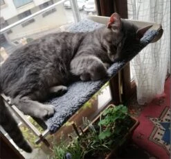 Merkloos Arnillo - Kattenhangmat - Kattenhangmat Raam - Kattenmand - Kattenbed - Kattenbed Raam - Kat Decoratie - Houten Kattenhangmat -Kattenbenodigdheden 1200x1112 3