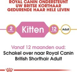 Royal Canin British Shorthair Kitten - 2 Kg 23 Royal Canin British Shorthair Kitten - 2 Kg -Kattenbenodigdheden 1200x1115 2