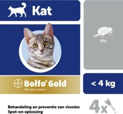 Bayer Bolfo Gold 40 Anti Vlooienmiddel - Kat - 0 Tot 4 Kg - 4 Pipetten 19 Bayer Bolfo Gold 40 Anti Vlooienmiddel - Kat - 0 Tot 4 Kg - 4 Pipetten -Kattenbenodigdheden 1200x1116 2