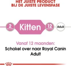 Royal Canin Kitten In Jelly - Kattenvoer - 1020 G -Kattenbenodigdheden 1200x1117 2