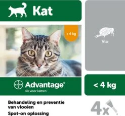Bayer Advantage 40 Tegen Vlooien - <4kg - 4 X 0,4 Ml - Adult 25 Bayer Advantage 40 Tegen Vlooien - <4kg - 4 X 0,4 Ml - Adult -Kattenbenodigdheden 1200x1117