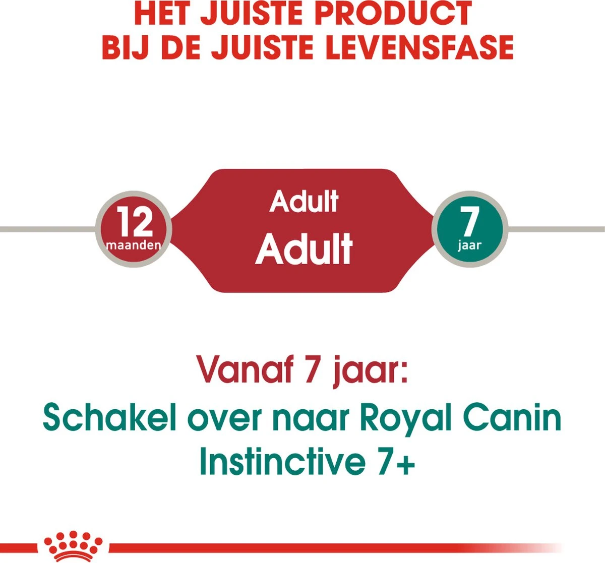 Royal Canin Instinctive - Kattenvoer - 12 X 85 G 6 Royal Canin Instinctive - Kattenvoer - 12 X 85 G - Afbeelding 4