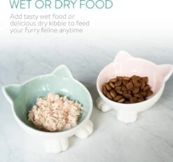 Navaris Voerbakjes Voor Katten - Set Van 2 Voer- En Waterbakken - Etensbak Van Keramiek - Met Antislip Voetjes - Kattenvorm - Roze/Groen -Kattenbenodigdheden 1200x1128 5
