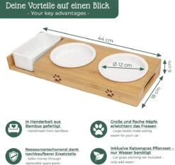 Pfotenolymp® Voederstation Met Kattengras Voor Katten - Porseleinen Kattenbak/Voedingsbak - Verhoogde Kom Set Met Kattengrasbak - Voerbak Hoog 12 Pfotenolymp® Voederstation Met Kattengras Voor Katten - Porseleinen Kattenbak/Voedingsbak - Verhoogde Kom Set Met Kattengrasbak - Voerbak Hoog -Kattenbenodigdheden 1200x1133