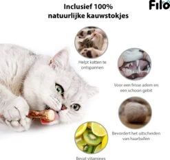 Filo Kattenspeelgoed Set 30 Stuks - Kattenspeeltje Kattentunnel - Kattenhengel - Kattenveertjes - Vis Met Kattenkruid - Kattenspeeltjes Intelligentie Kitten - Interactief Speelgoed Katten - Poezen Speeltjes -Kattenbenodigdheden 1200x1133 6