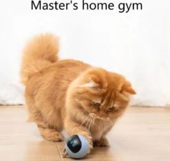 Otiume Interactieve Speelbal - Slimme Interactieve Jaag Speeltje Voor Katten - Kattenspeeltjes - Intelligente Jaagbal - AI -USB Oplaadbaar - LED - Blauw 13 Otiume Interactieve Speelbal - Slimme Interactieve Jaag Speeltje Voor Katten - Kattenspeeltjes - Intelligente Jaagbal - AI -USB Oplaadbaar - LED - Blauw -Kattenbenodigdheden 1200x1137 10