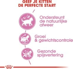 Royal Canin Kitten Sterilised - Kattenvoer - 3,5 Kg -Kattenbenodigdheden 1200x1141 6