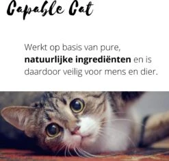 Capable Cat Vlooienband Kat | Vlooien | Luizen | Teken | Mijten | 8 Maanden Bescherming | Katten -Kattenbenodigdheden 1200x1142 1