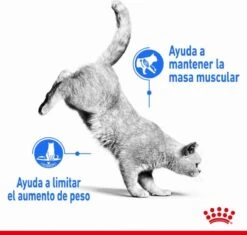 Royal Canin Light Weight Care - 3 Kg -Kattenbenodigdheden 1200x1143