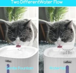Nobleza Drinkfontein Voor Katten 16 Nobleza Drinkfontein Voor Katten -Kattenbenodigdheden 1200x1145 2