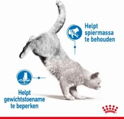 Royal Canin Light Weight Care - 3 Kg -Kattenbenodigdheden 1200x1146