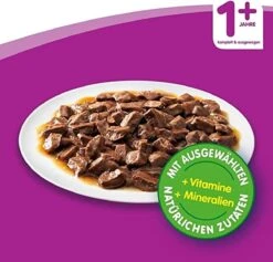 Whiskas Classic Selectie Kattenvoer, Hoogwaardig Nat Voer Voor Volwassen Katten 48 X 100g -Kattenbenodigdheden 1200x1153 1