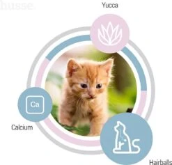 Husse Kattunge Kitten - 2 Kg - Kittenvoer - Kattenvoer - Kittenbrokjes 13 Husse Kattunge Kitten - 2 Kg - Kittenvoer - Kattenvoer - Kittenbrokjes -Kattenbenodigdheden 1200x1153