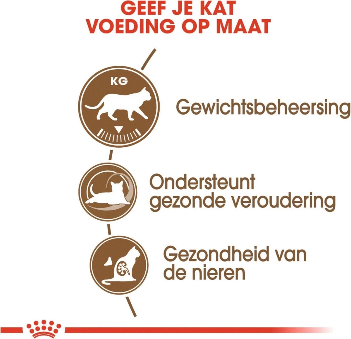 Royal Canin Ageing Sterilised 12+ - Kattenvoer - 2 Kg 7 Royal Canin Ageing Sterilised 12+ - Kattenvoer - 2 Kg - Afbeelding 5