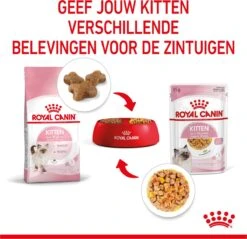 Royal Canin Kitten In Jelly - Kattenvoer - 1020 G -Kattenbenodigdheden 1200x1159 1