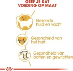 Royal Canin Ragdoll Adult - Kattenvoer - 10 Kg -Kattenbenodigdheden 1200x1159 17