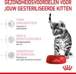 Royal Canin Kitten Sterilised - Kattenvoer - 3,5 Kg -Kattenbenodigdheden 1200x1159 19