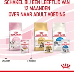 Royal Canin Kitten In Jelly - Kattenvoer - 1020 G -Kattenbenodigdheden 1200x1159 2