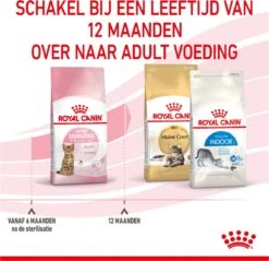Royal Canin Kitten Sterilised - Kattenvoer - 3,5 Kg -Kattenbenodigdheden 1200x1159 24