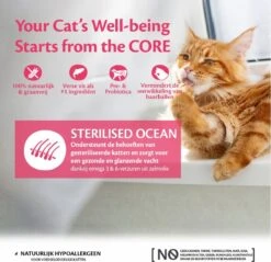 Wellness Core Kattenvoer Sterilised Zalm 4 Kg -Kattenbenodigdheden 1200x1160 6