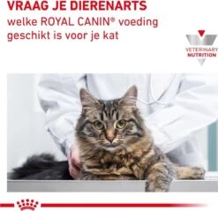 Royal Canin Renal - Rund - Kattenvoer - 12 X 85 G -Kattenbenodigdheden 1200x1161 1