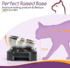 Nobleza Katten Voerbakjes - Ergonomische Dubbele Voerbak - Anti Braak Voerbak Voor Katten - Zwart - Dubbel - RVS -Kattenbenodigdheden 1200x1161 12