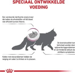 Royal Canin Renal Special - Kattenvoer - 4 Kg -Kattenbenodigdheden 1200x1161 6