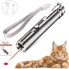 Laserpen - USB - Kattenspeeltjes - Zaklamp - Kat - Laser - Kattenspeelgoed - RVS Opbergblikje