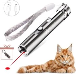 Laserpen - USB - Kattenspeeltjes - Zaklamp - Kat - Laser - Kattenspeelgoed - RVS Opbergblikje