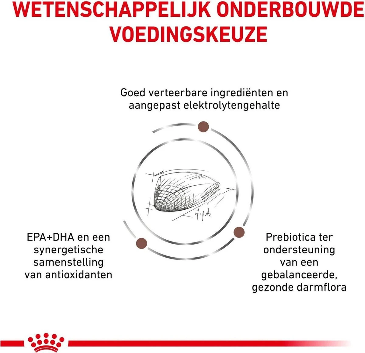 Royal Canin Gastro Intestinal - Kattenvoer - 400 G 7 Royal Canin Gastro Intestinal - Kattenvoer - 400 G - Afbeelding 5