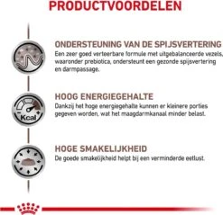 Royal Canin Gastro Intestinal - Kattenvoer - 400 G 20 Royal Canin Gastro Intestinal - Kattenvoer - 400 G -Kattenbenodigdheden 1200x1163 1