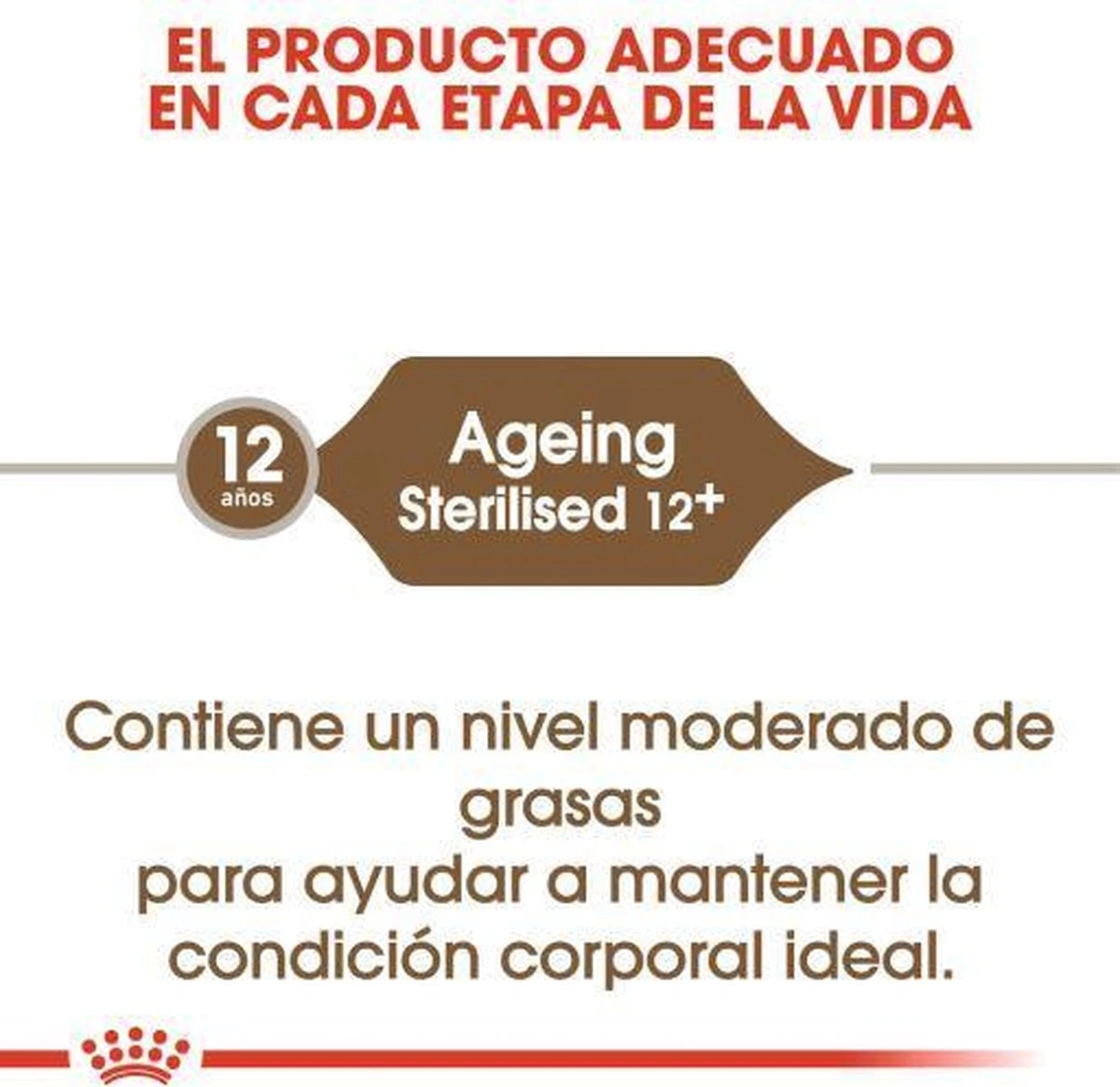 Royal Canin Ageing Sterilised 12+ - Kattenvoer - 2 Kg 14 Royal Canin Ageing Sterilised 12+ - Kattenvoer - 2 Kg - Afbeelding 12