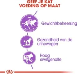 Royal Canin Sterilised 37 - Kattenvoer - 4 Kg 20 Royal Canin Sterilised 37 - Kattenvoer - 4 Kg -Kattenbenodigdheden 1200x1168