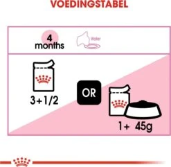 Royal Canin Kitten In Jelly - Kattenvoer - 1020 G -Kattenbenodigdheden 1200x1169 1