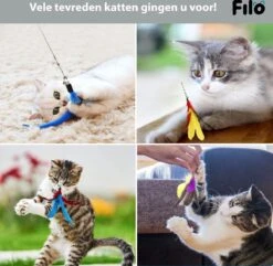 Filo Kattenhengel Set + 12 Kattenspeeltjes – Speelhengels Interactief Kattenspeelgoed – Hengel Kattenspeeltje Kittens - Speelgoed Speelhengel Vis Kat En Kitten 15 Filo Kattenhengel Set + 12 Kattenspeeltjes – Speelhengels Interactief Kattenspeelgoed – Hengel Kattenspeeltje Kittens - Speelgoed Speelhengel Vis Kat En Kitten -Kattenbenodigdheden 1200x1170 10
