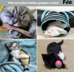 Filo Kattenspeelgoed Set 30 Stuks - Kattenspeeltje Kattentunnel - Kattenhengel - Kattenveertjes - Vis Met Kattenkruid - Kattenspeeltjes Intelligentie Kitten - Interactief Speelgoed Katten - Poezen Speeltjes -Kattenbenodigdheden 1200x1170 11