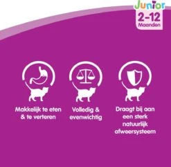 Whiskas Junior Katten Natvoer - Classic Selectie In Saus - 48 X 100g -Kattenbenodigdheden 1200x1172 1