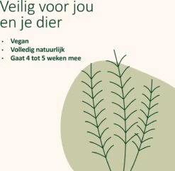 Catuals Kattenbakvulling Geurverdrijver - Neutraliseert Urinegeur Van Katten - Baby Care - 1kg 15 Catuals Kattenbakvulling Geurverdrijver - Neutraliseert Urinegeur Van Katten - Baby Care - 1kg -Kattenbenodigdheden 1200x1172 7