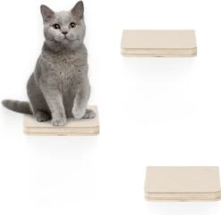 Navaris Katten Klimmuur 3 Tredes - 18 X 18 X 1,5 Cm Per Plankje - Katten Klimwand Van Hout - Inclusief Bevestigingsmateriaal 9 Navaris Katten Klimmuur 3 Tredes - 18 X 18 X 1,5 Cm Per Plankje - Katten Klimwand Van Hout - Inclusief Bevestigingsmateriaal -Kattenbenodigdheden 1200x1173 5